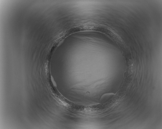 X0000059840641200511041814