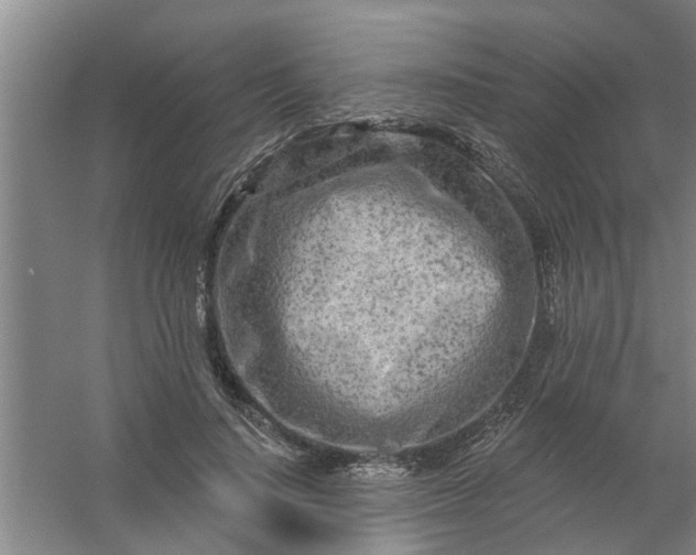 X0000059840644200511041814