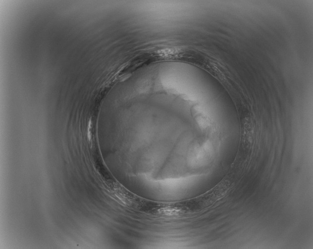 X0000059840650200511041814