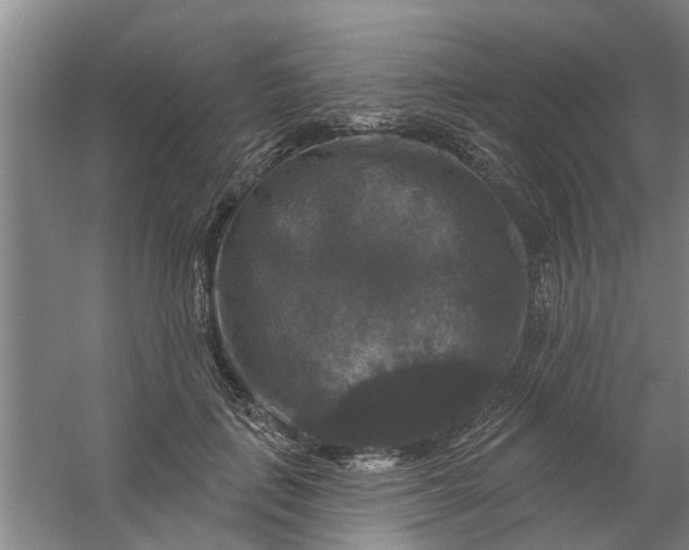 X0000059840651200511041814