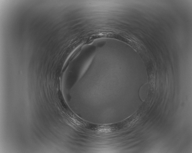 X0000059840653200511041814