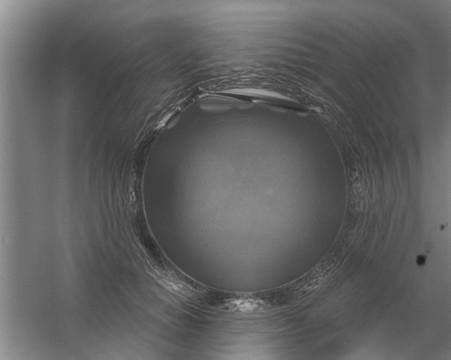 X0000059840654200511041814