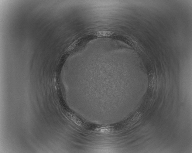 X0000059840655200511041814