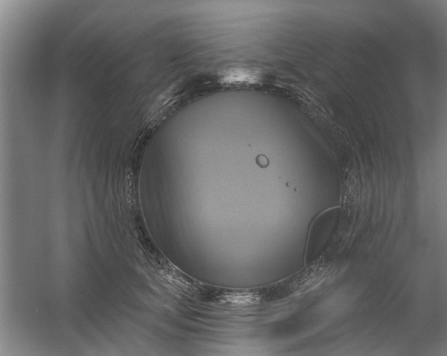 X0000059840659200511041814