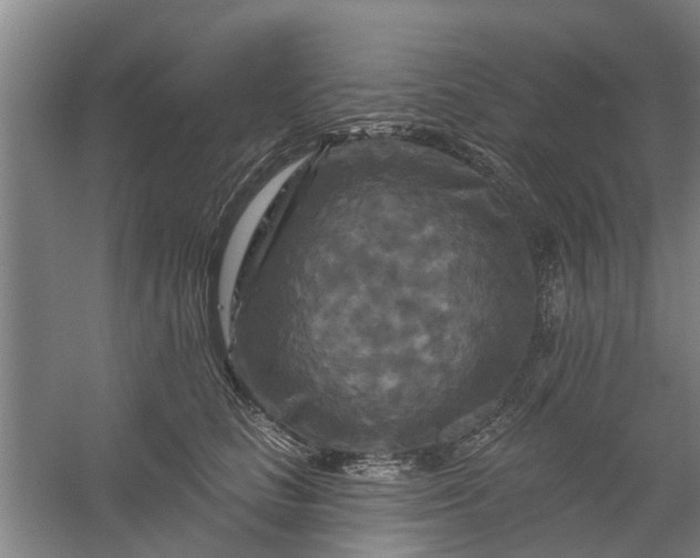 X0000059840661200511041814