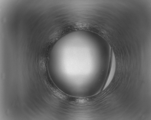 X0000059840662200511041814