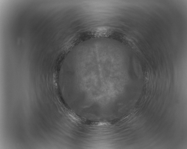 X0000059840663200511041814