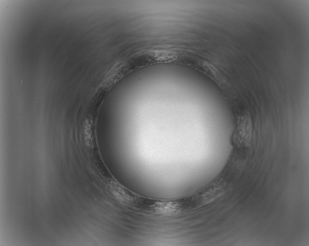 X0000059840667200511041815