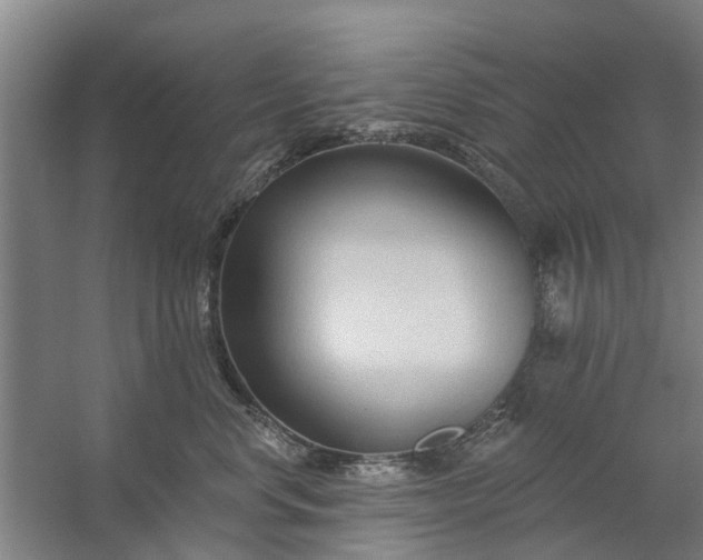 X0000059840668200511041815