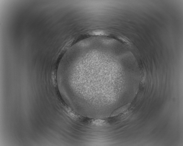 X0000059840669200511041815