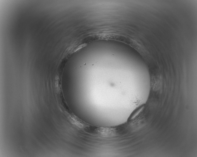 X0000059840670200511041815