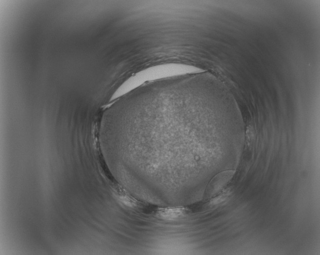 X0000059840671200511041815