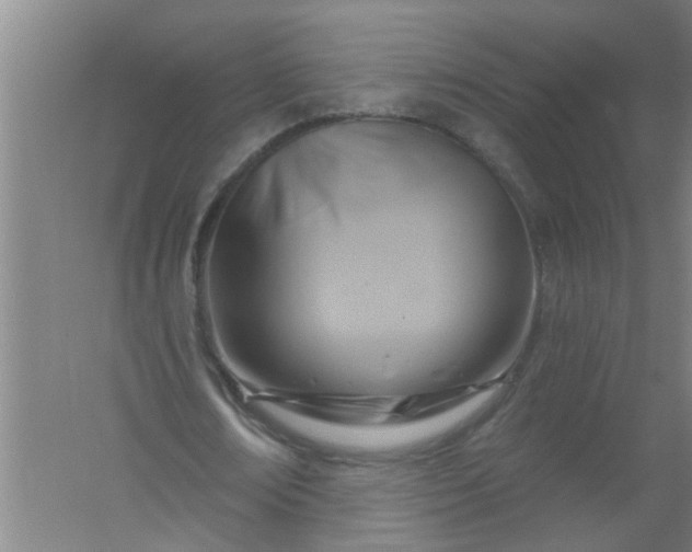 X0000059840674200511041814