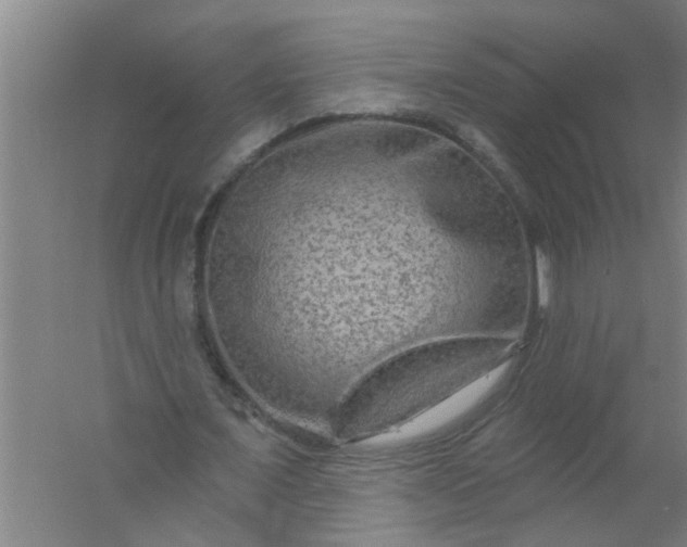 X0000059840675200511041814