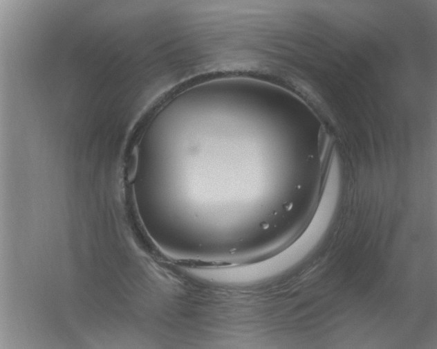 X0000059840676200511041814