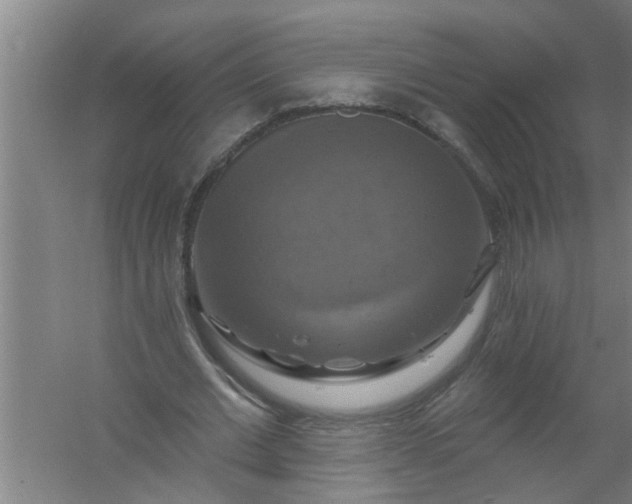 X0000059840677200511041814