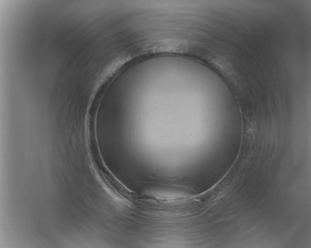 X0000059840678200511041814