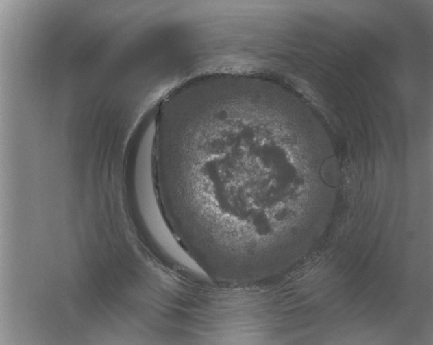 X0000059840679200511041814