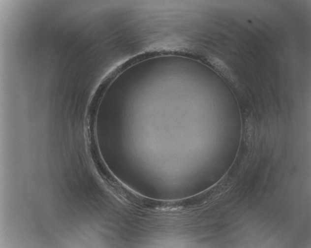 X0000059840680200511041814