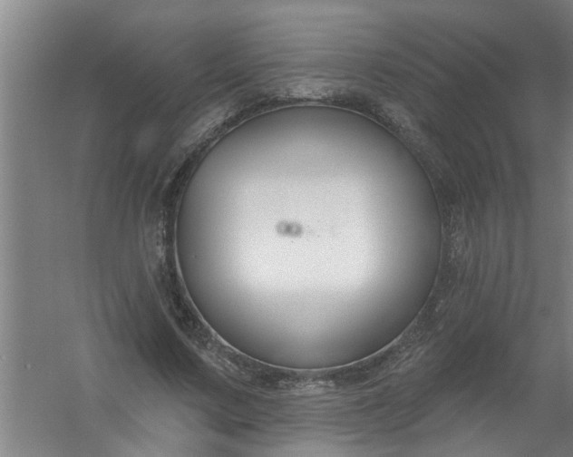 X0000059840683200511041814