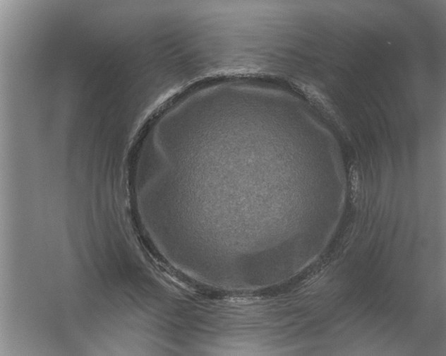 X0000059840684200511041814