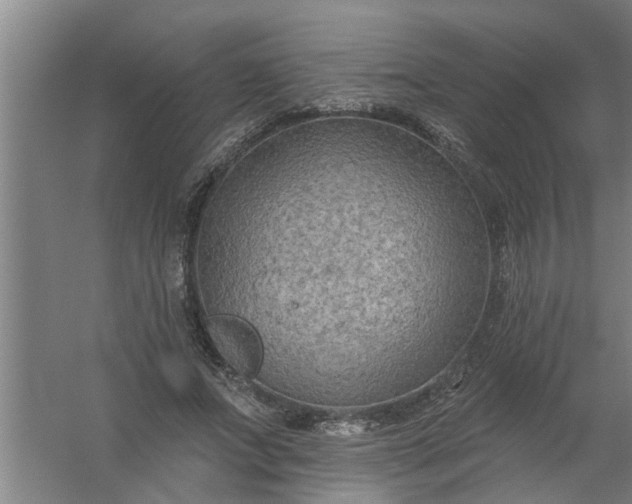 X0000059840687200511041814