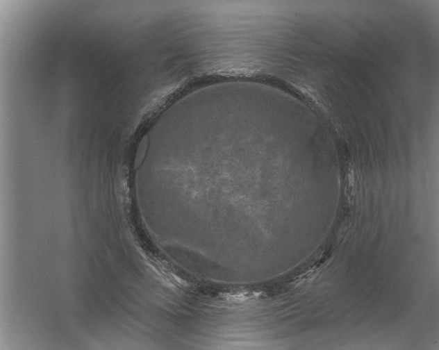 X0000059840688200511041814