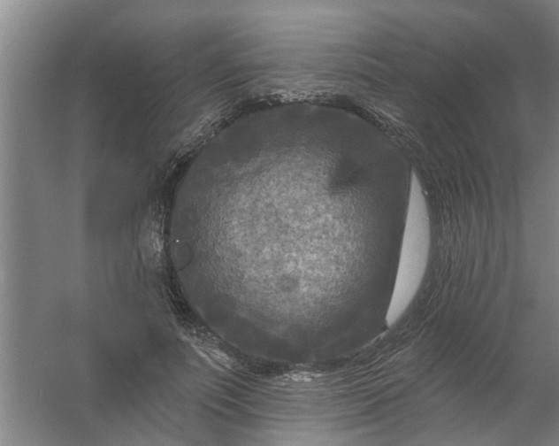 X0000059840691200511041813