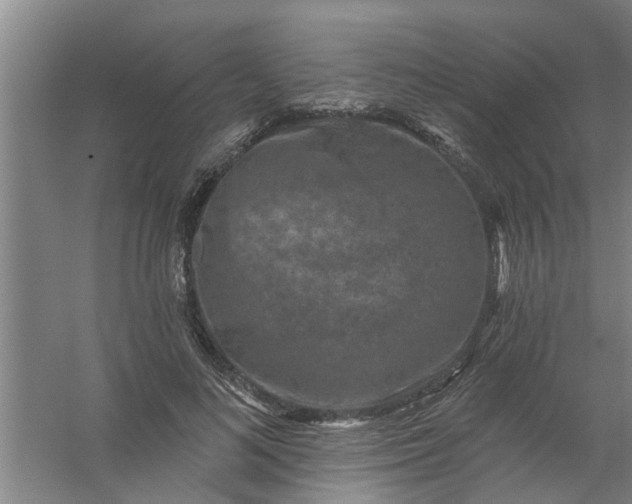 X0000059840692200511041813