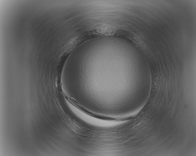 X0000059840693200511041813