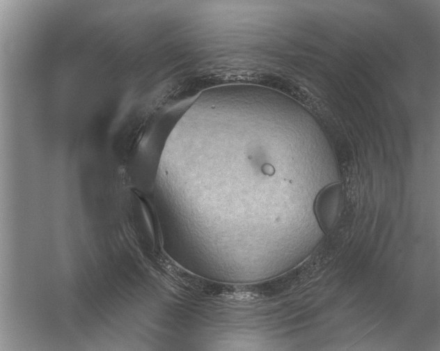 X0000059840695200511041813