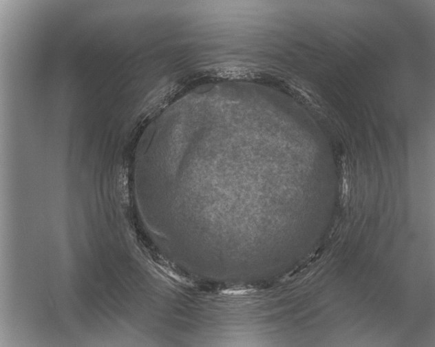 X0000059840696200511041813