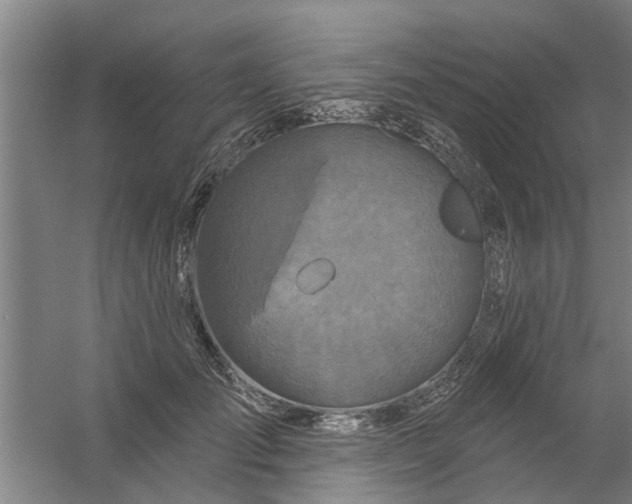 X0000059840701200511041813