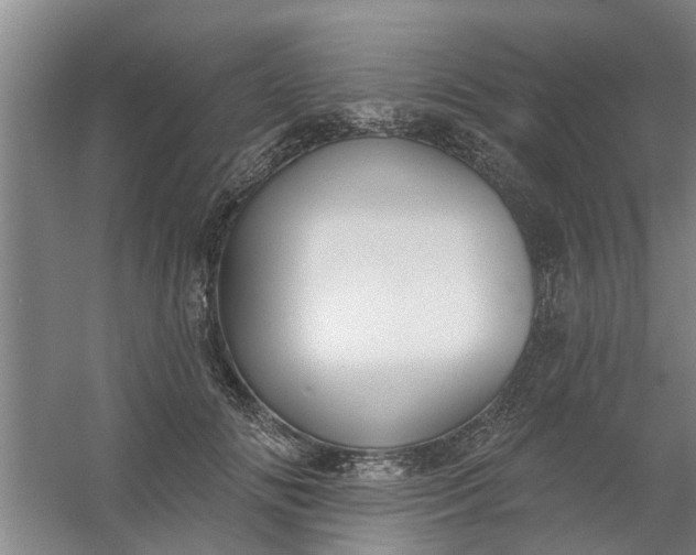 X0000059840702200511041813