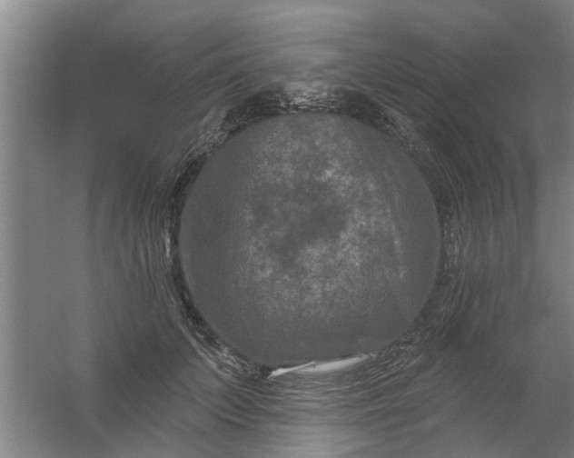 X0000059840703200511041813