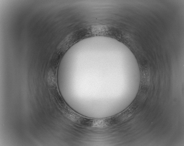 X0000059840705200511041813