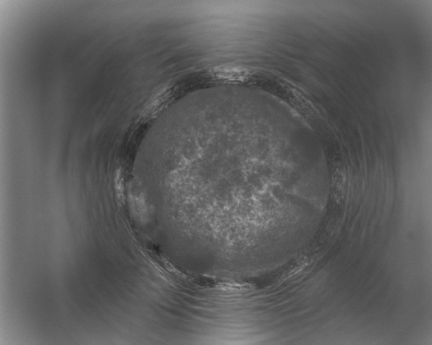 X0000059840707200511041813