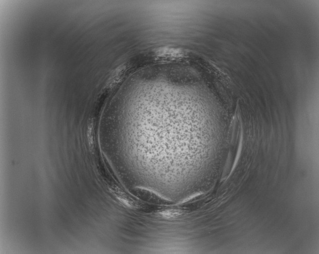 X0000059840708200511041813