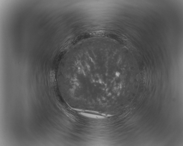 X0000059840711200511041813