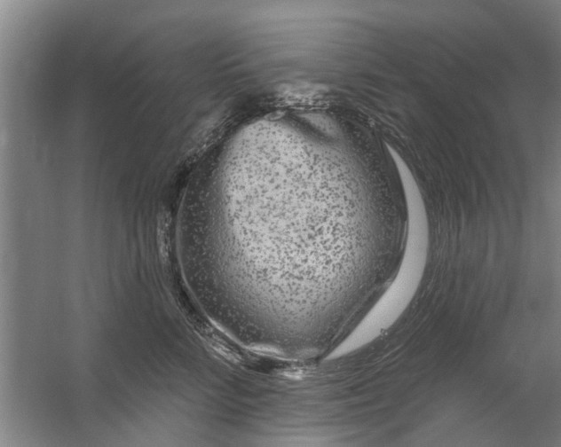 X0000059840712200511041813