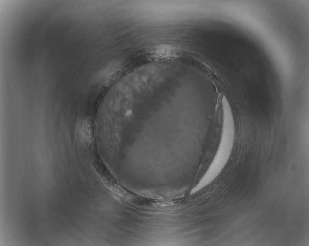 X0000059840715200511041813