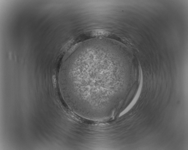 X0000059840716200511041813