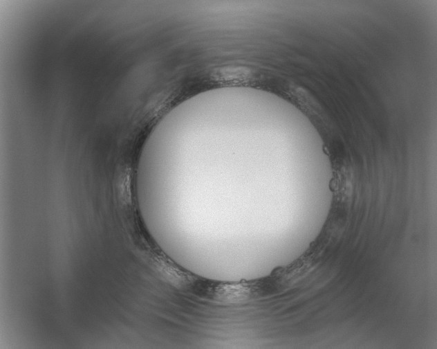 X0000059840717200511041813