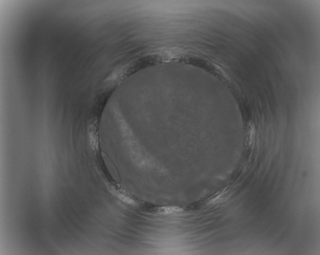 X0000059840719200511041813