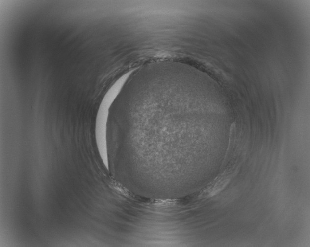 X0000059840720200511041813