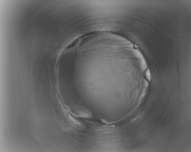 X0000059840721200511041812