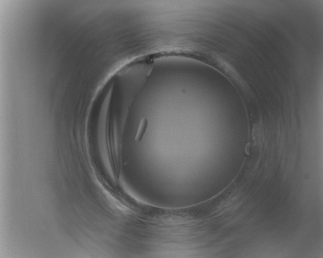 X0000059840722200511041812