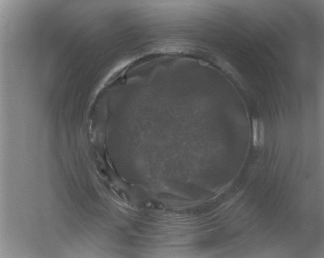 X0000059840723200511041812