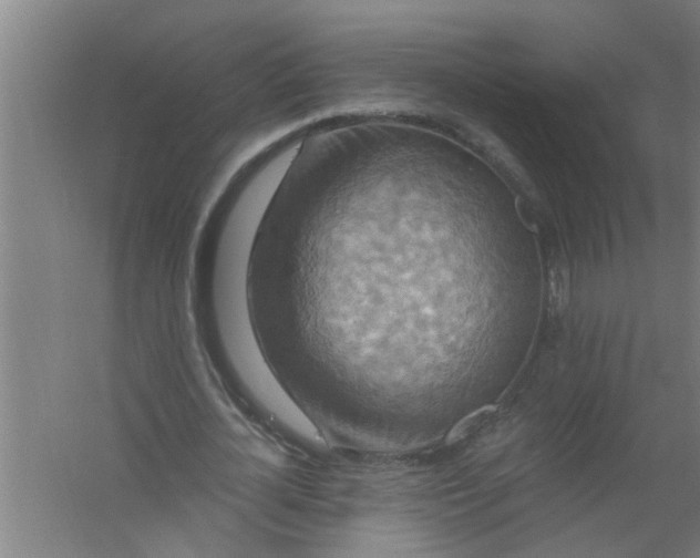 X0000059840724200511041812