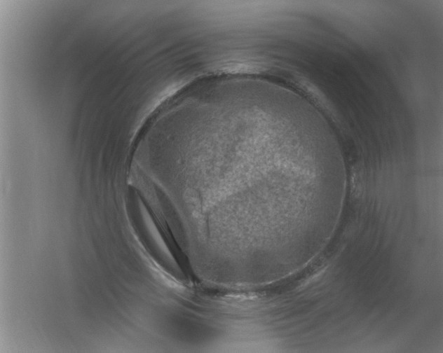 X0000059840725200511041812